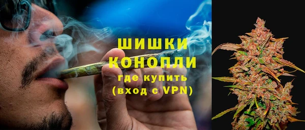 тгк Горняк