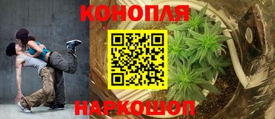 спиды Волгодонск