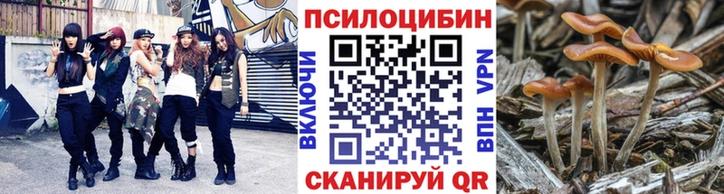 купить наркоту  Донецк  Галлюциногенные грибы ЛСД 