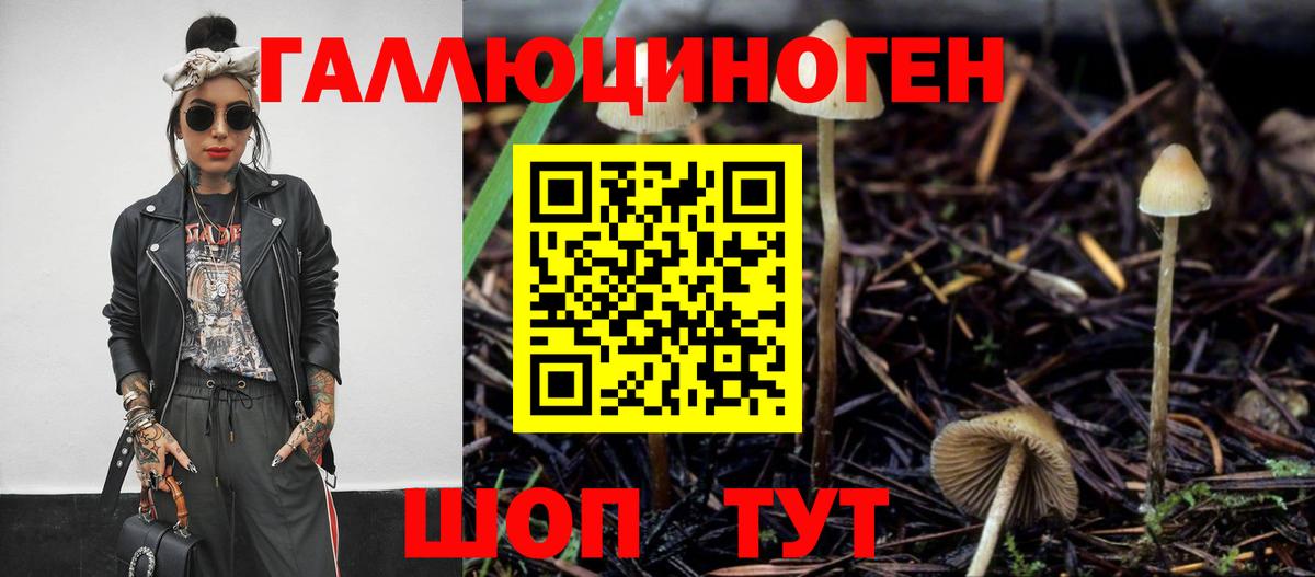Псилоцибиновые грибы мицелий Донецк