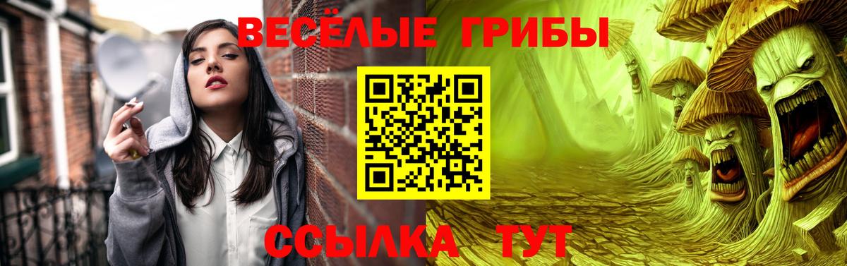 Донецк  дарнет шоп  Вход с VPN  Галлюциногенные грибы Psilocybe 